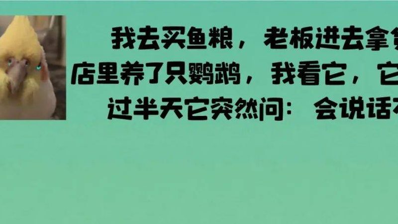 宿舍零食饼干测评对比：如何挑选健康美味的选择